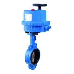 Bonomi EN500S with N500S Flanged Wafer Butterfly Valve and Actuator