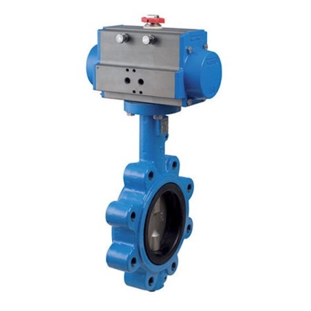 Bonomi DAN501S with N501S Lug Butterfly Valve and Actuator