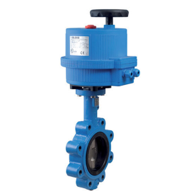 Bonomi E531S with 531S Lug Body Butterfly Valve and Actuator