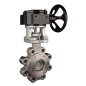 Bonomi G9101 Gear Operated Lug Style Body High Performance Butterfly valve Stainless Steel body and disc ANSI 150 PTFE seats