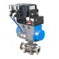 Bonomi PP770V with 770V Sanitary V-Port Ball Valve Direct Mount S-Steel and Valbia Pneumatic Actuator with Pneumatic Positioner