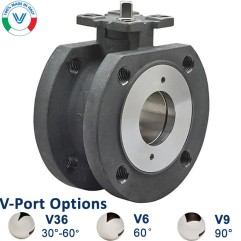 Bonomi PP724102V with Valpres 724102V Wafer Style V-Ball Valve D-Mount Carbon Steel and Valbia Pneumatic Actuator and Positioner