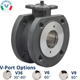 Bonomi PP724102V with V-Port Ball Valve, Actuator and psi Positioner