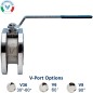 Bonomi PP720370V with Valpres 720370V Wafer Style V-Ball Valve S-Steel and Valbia Pneumatic Actuator and Pneumatic Positioner