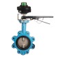 Bonomi N501S LS2-EX con Ghibson N501S válvula mariposa Lug Certificación NSF calidad alimentaria y interruptor límite LS2-B-EX