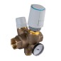 Jomar TB-150G Lead Free Thermost. Balancing Valve, FNPT 150 CWP Actuated Thermal Disinfection with Thermometer & Opt Check Valve