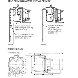 Bomba centífuga autocebante Goulds GT07 de 60 HZ  3/4 HP monofásica