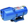 Goulds JRS5 Bomba chorro para pozo poco profundo 1/2 HP Flujo hasta 14.1 GPM Monofásico 115/230V NPT 1 1/4 succión 1” descarga