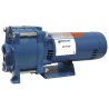 Goulds HSJ07N Bomba de chorro convertible multietapa 3/4 HP 2 etapas 18.5 GPM Monofásico 115/230V NPT 1 1/4 succión 1” descarga