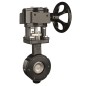 Bonomi G8100 Carbon Steel Gear Operated High Performance Wafer Style Butterfly Valve ANSI 150