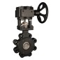 Bonomi G8301 High Performance Lug Style Butterfly Valve Gear Operated ANSI 300 Carbon Steel body and SS disc