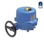 Valbia 86L0D411 24 V CC VB110M Actuador eléctrico Caja de aluminio con tres posiciones y Respaldo Torque máximo 975