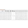Leo 4LPF6.6-80-150-1300 Bomba de pozo solar Hybrid AC/DC 4" Impulsor SS 60 Hz 8-430 VCC 29 GPM máx. y inversor DSPF 150