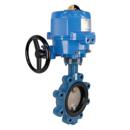 Bonomi ME531S with 531S Lug Body Butterfly Valve and Actuator