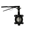 Jomar BFV-LUG EPDM Butterfly Valve Lug Style NSF Epoxy-Coated Ductile Iron Body S-Steel Disc ISO 5211 Mounting Flange