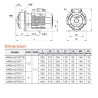 Leo AMSm370/2.2 Bomba centrífuga acero inox. 3 HP 220 V monofásica, 2,2 kW, hasta 97 GPM, DN 2" succión 1,25" descarga