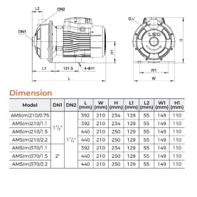 Leo AMSm210/2.2 S-Steel Centrifugal pump 3 HP 220V 1 Phase