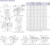 Leo LVS3-2 Bomba vertical multietapa de acero inoxidable 460 V/60 Hz trifásica 1/2 HP