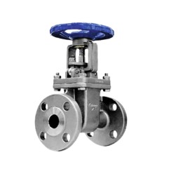 Chicago Valves Series 216 316SS BW Gate Valve | Buy