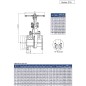 Chicago Valves Series 216 Heavy Duty 316SS Class 300 Flanged Gate Valve (1/2" - 6")