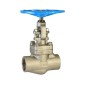 Chicago Valves series 386 Stainless Steel Class 800 Globe Valve, NPT  1/4"-2"