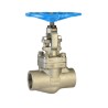 Chicago Valves series 386 Stainless Steel Class 800 Globe Valve, NPT  1/4"-2"