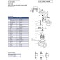 Chicago Valves series 314 Flanged Globe valve Cast steel Class 300, API 600 OS & Y 2"- 8"
