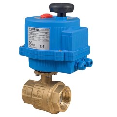 Bonomi 8E064LF with 250NLF 2-Way Brass Valve and Electric Actuator