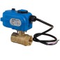 Bonomi 8E868LF with Ball Brass Valve 253N 2-Way Full port Direct Mount SS Ball Stem FNPT and Valbia Electric Actuator 85 VB010