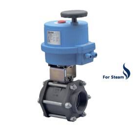 Bonomi 8E710064 with Carbon Steel Ball SW Valve Actuator Package