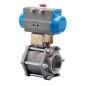 Bonomi 8P0195 with 710190 Ball Valve NPT  Full port 3-piece Stainless Steel 1000 WOG and Valbia Double Acting Pneumatic Actuator