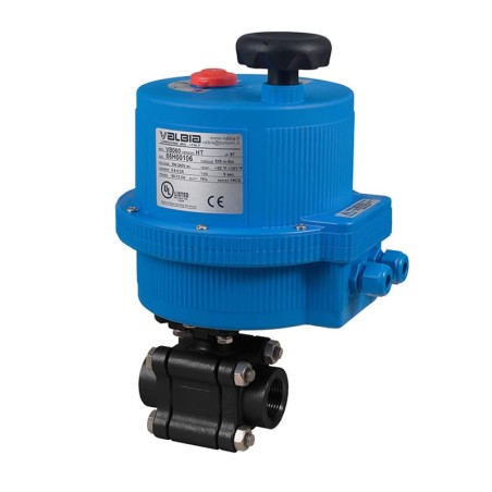 Bonomi 8E0640LL with 640LL NPT Carbon Steel Ball Valve and Actuator