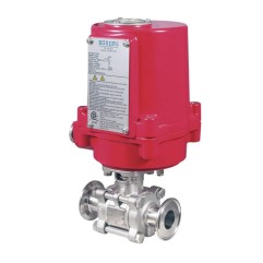 Bonomi EXM8E0770 with 770 Sanitary S-Steel Ball Valve and Actuator