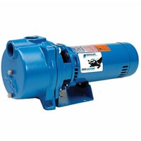 Centrifugal Pumps