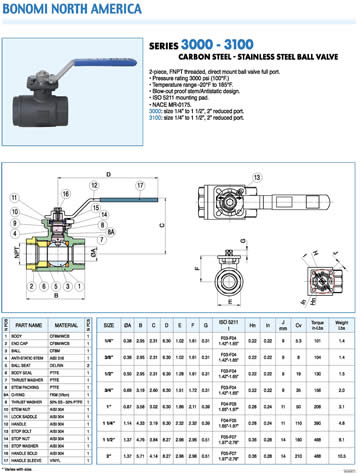 Bonomi 3000 and 3100 Valve Specification